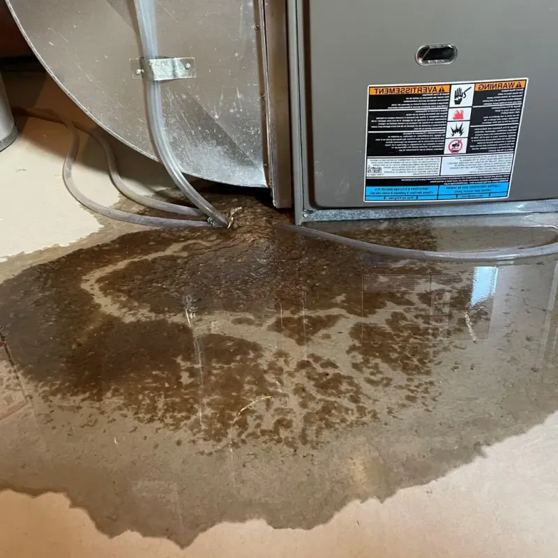Pipe Burst and Leak Restoration in Walkerton, IN